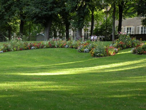  gazon, Pépinière